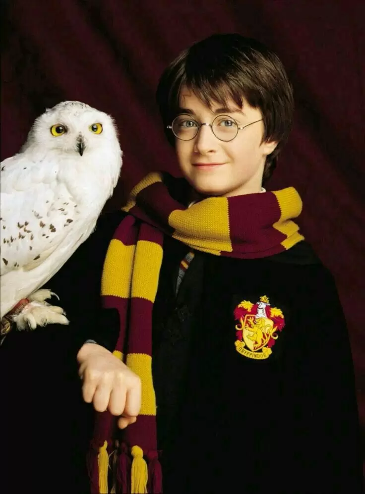 harryy.jpg