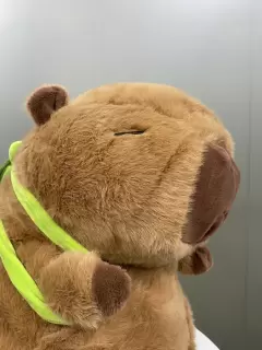 PELUCHE CAPIBARA GRANDE (50 CM)