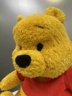 PELUCHE TERAPEUTICO WINNIE POOH