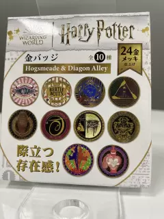 CHAPA SORPRESA ESCUDOS HARRY
