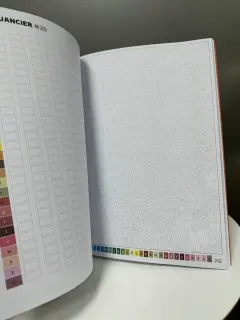 LIBRO PARA COLOREAR PORTADA PIKACHU