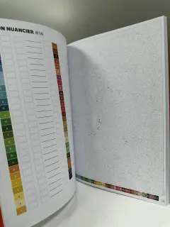 LIBRO PARA COLOREAR PORTADA MOANA