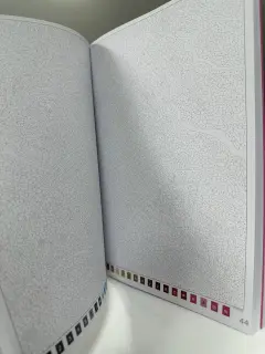 LIBRO PARA COLOREAR PORTADA RAPUNZEL