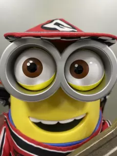 BUCKET MINION